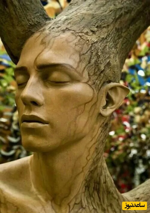 شاهکار هنری جدید روی درختان سر بریده حوالی خیابان کاج تهران/ بار دیگر ایرانیان ثابت کردند هنر نزد خودشان هست و بس..