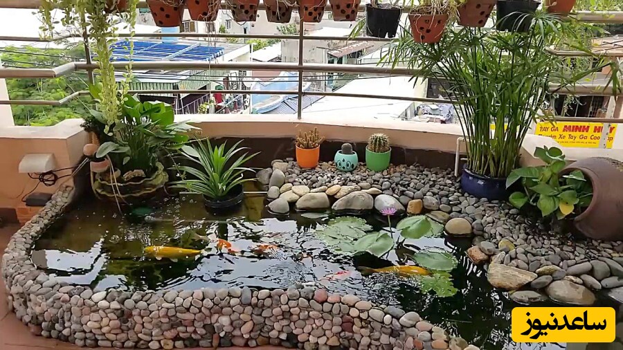 خلاقیت تحسین برانگیز معمار برای ساخت برکه آب و فضای سبز در تراس آپارتمان؛ تو همچین بالکنی دیگه رویای خانه ویلایی نداری😍 چگونه بالکن سبز درست کنیم؟