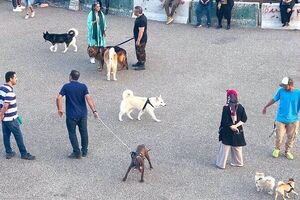 شلیک به اراذل کت و شلواری؛ شاید وقتی دیگر/ پارک‌های تهران دیگر برای کودکان امن نیست