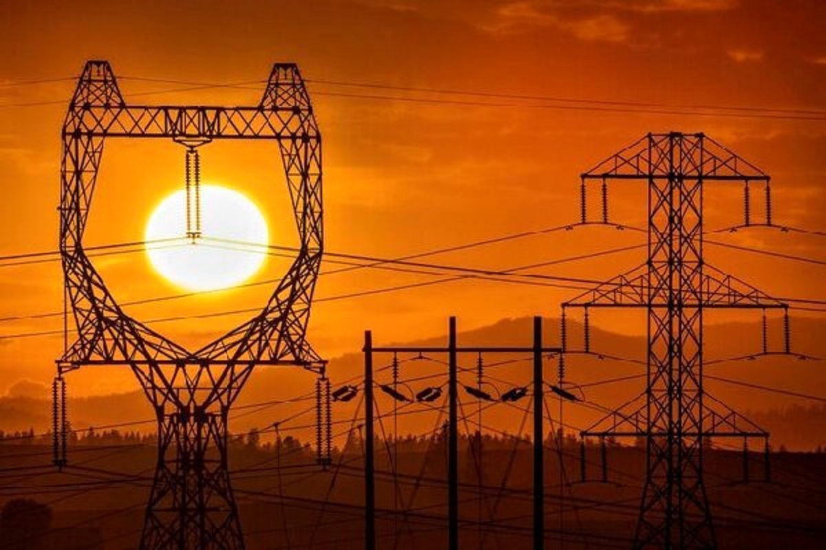 افعی برق‌خوار ایران شناسایی شد