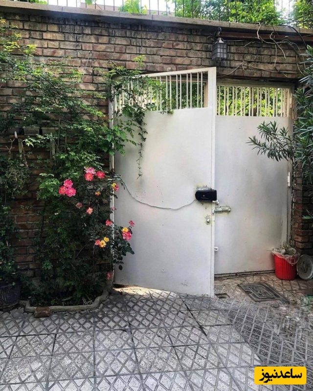 خلاقیت خنده دار پدر ایرانی برای جا شدن ماشین در حیاط کوچک خانه اش حماسه آفرید+عکس/هنر نزد ایرانیان است و بس...