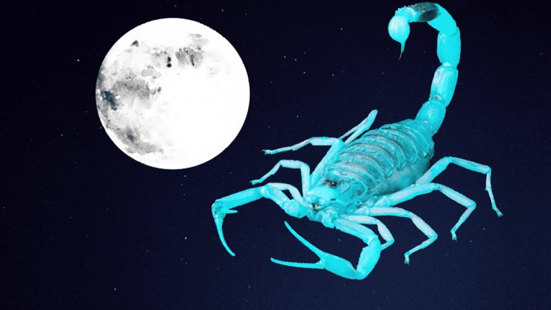 روزهای قمر در عقرب خرداد+ جدول دقیق روزهای قمر در عقرب سال ۱۴۰۴