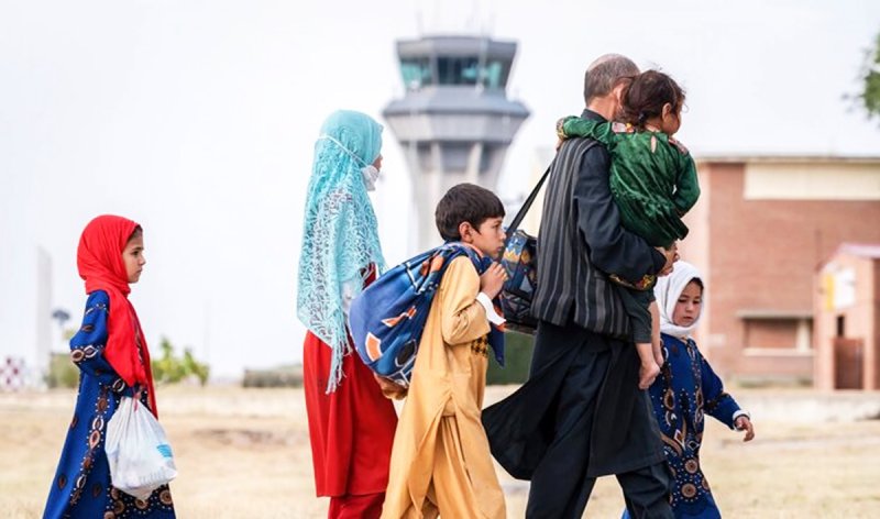 اتباع افغان این شغل را هم از ایرانی‌ها ربودند