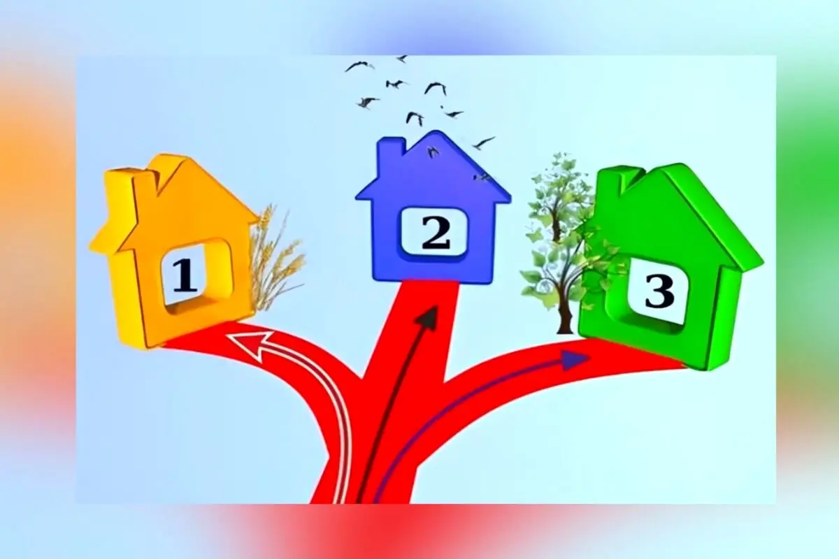 تست شخصیت شناسی :با انتخاب یکی از ۳ مسیر، آنچه را که در زندگی خود نیاز دارید، کشف کنید